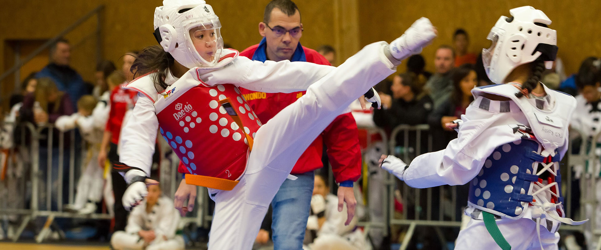 bannière taekwonkido combat